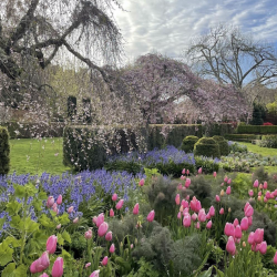 Screenshot 2026-03-16 at 9.09.43 PM